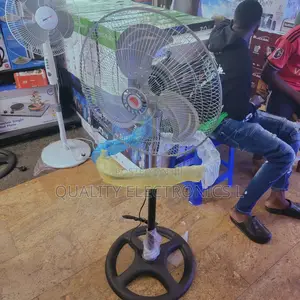 Changli Crown Stand Fan