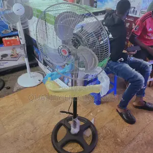 Changli Crown Stand Fan