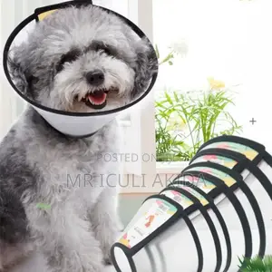 Pet Health After Surgery Elizabethan Dog Cone Collar
