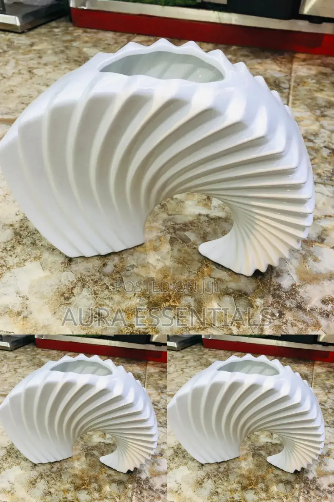 Curved Flower Vase