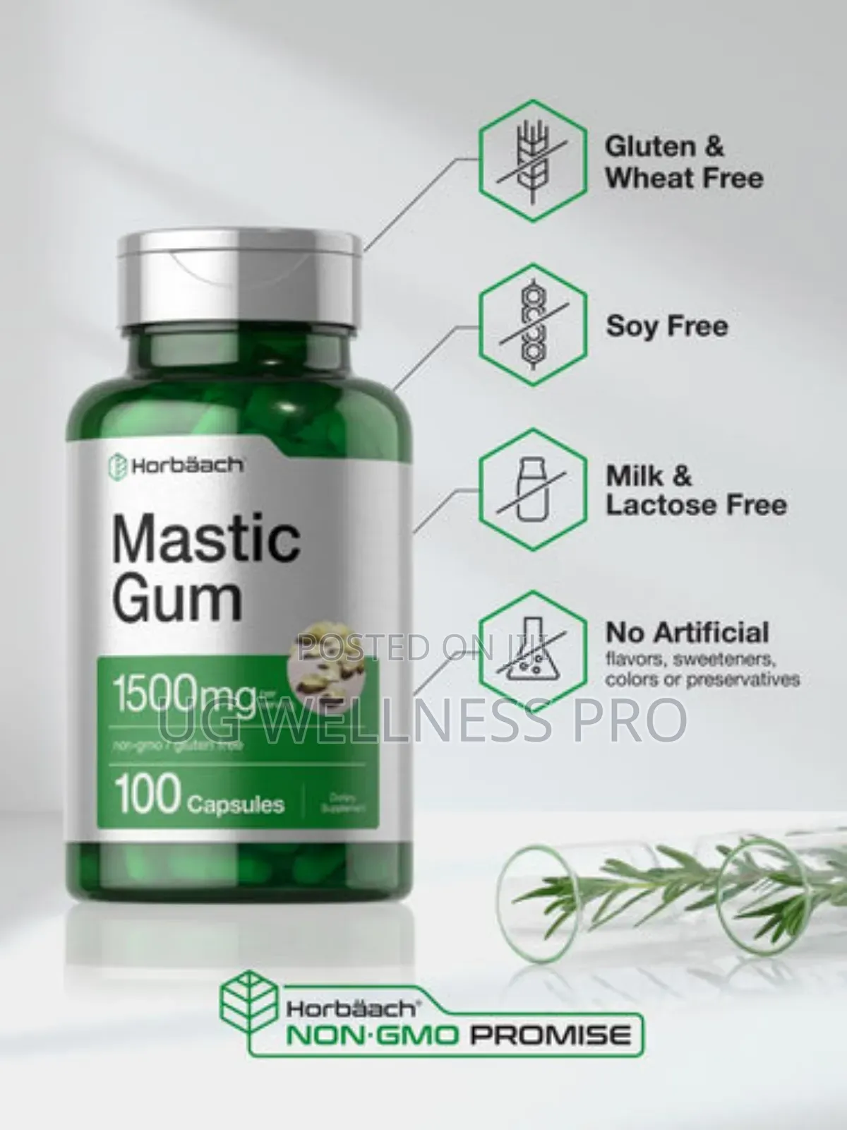 Mastic Gum 1500mg 100 Capsules