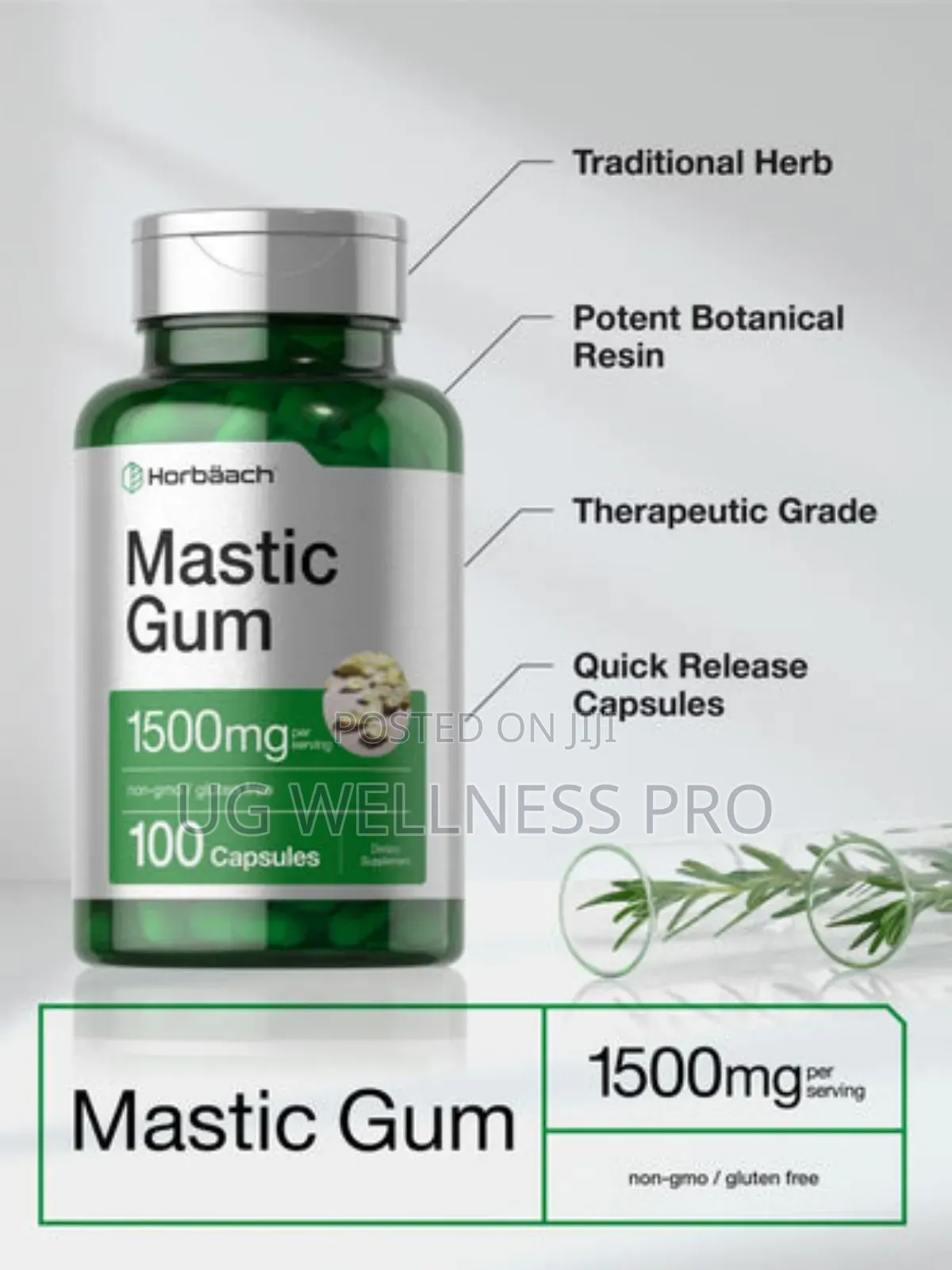 Mastic Gum 1500mg 100 Capsules