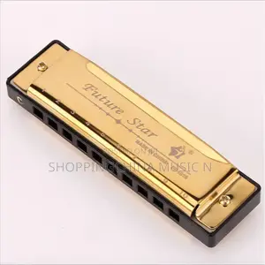 Harmonica Instrument