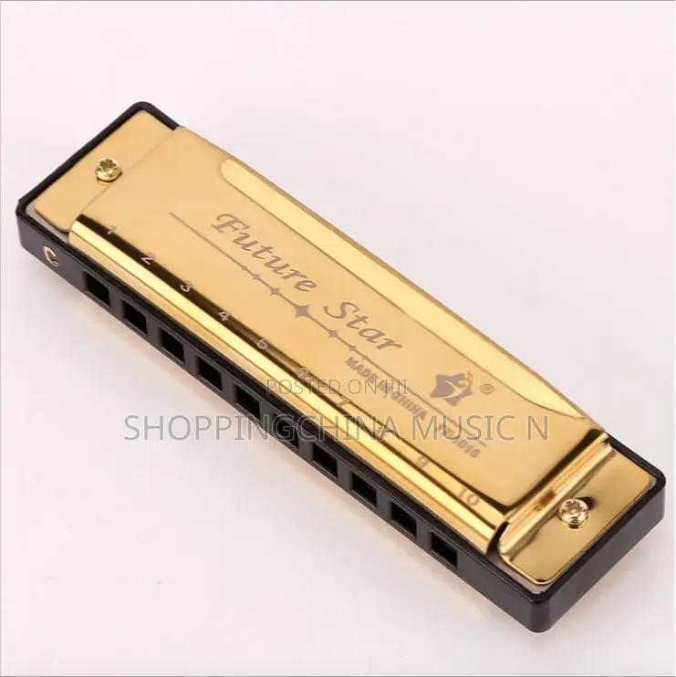 Harmonica Instrument