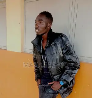 Software Engineer