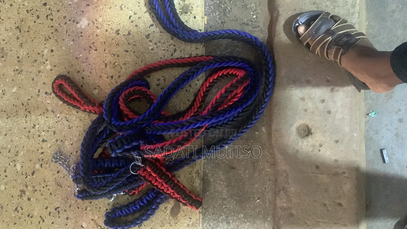 Dog Leashes / Ropes