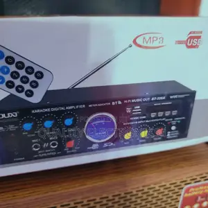 Digital Karaoke Amplifier