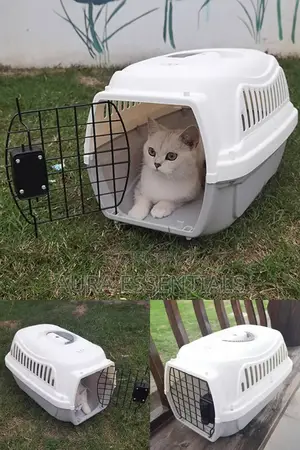 Strong Cat House
