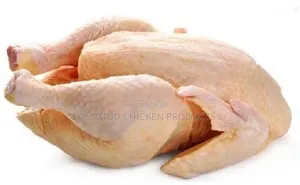 Fresh Chicken