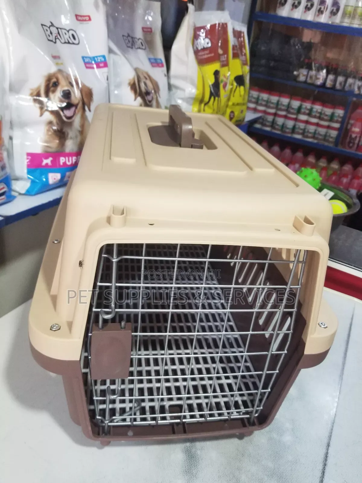 Dog Plastic Carrier