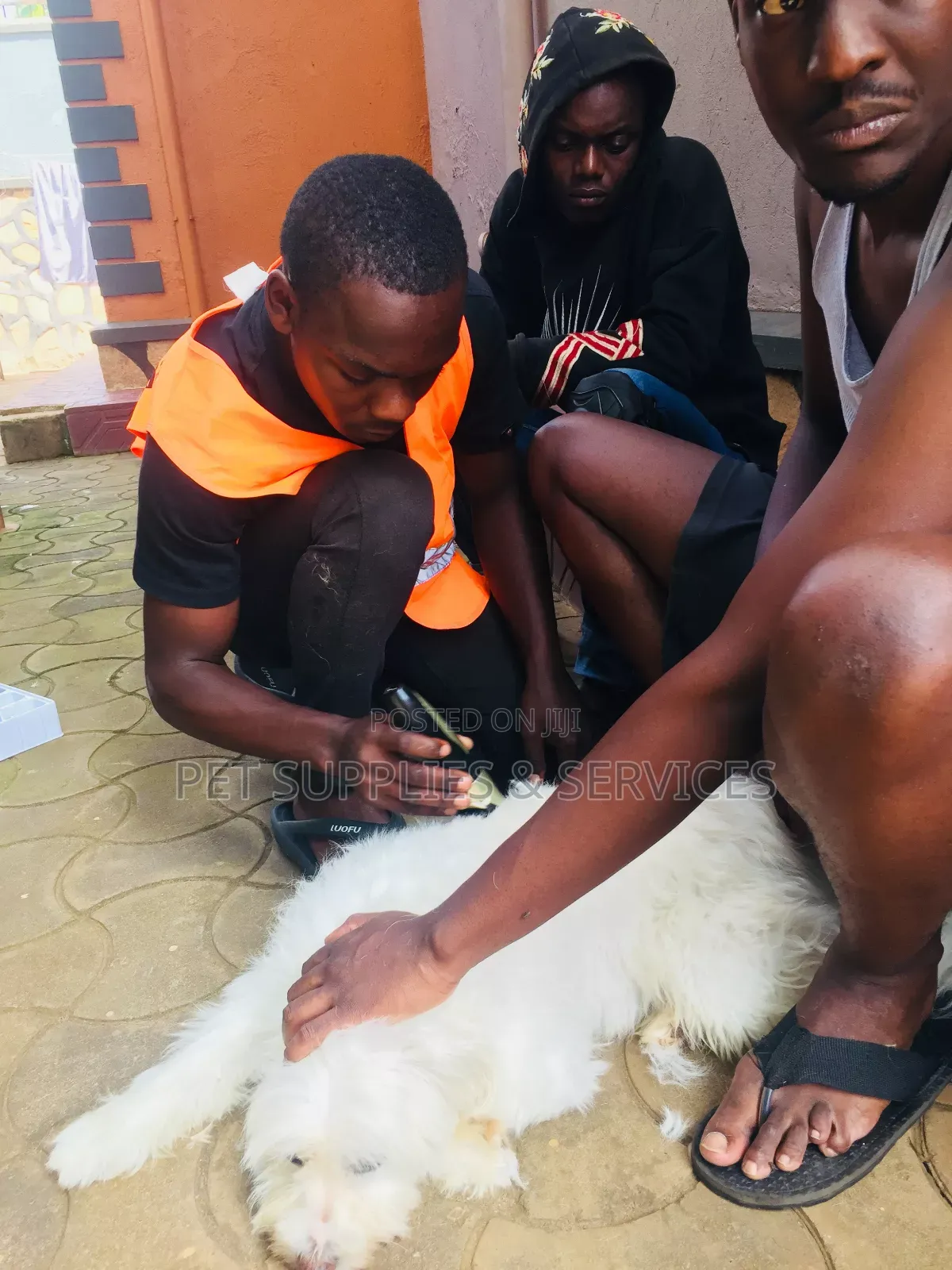 Dog Grooming Services