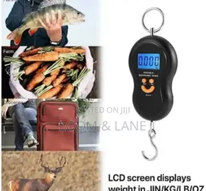 LCD Travel/Kitchen Food Weighing Scale