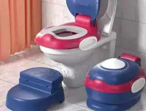 3 in 1 Multifunctional Kids Training Potty