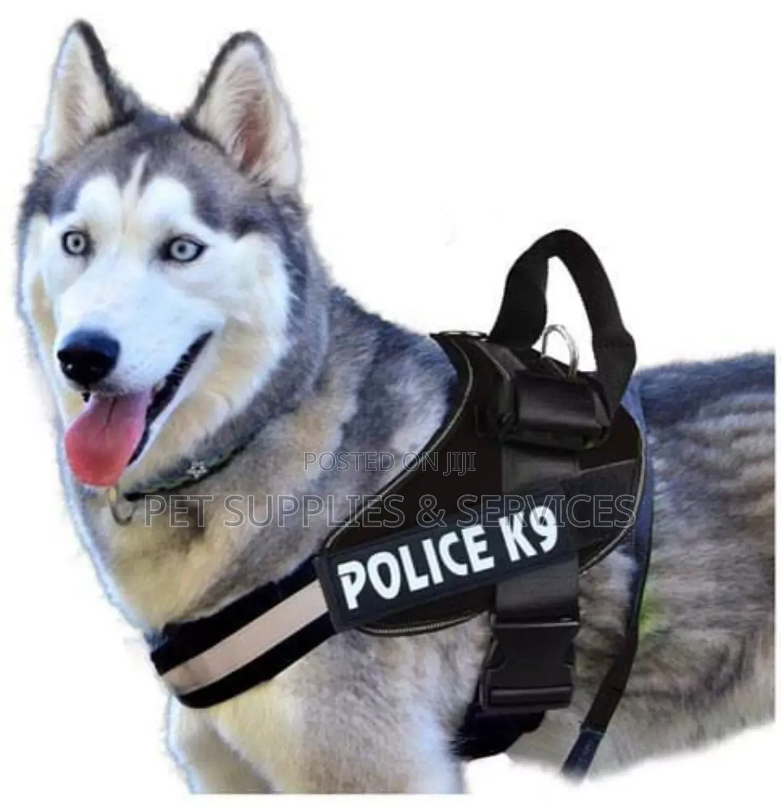 Dog Harness