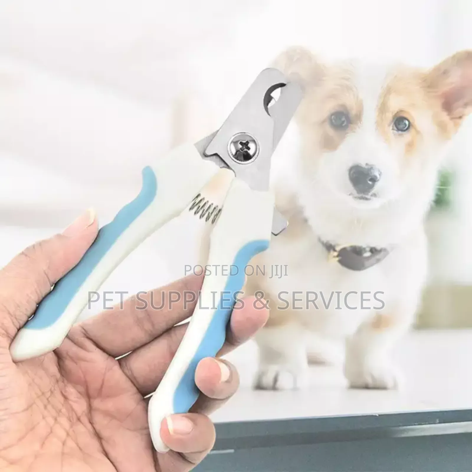 Dog Nail Clippers (P A)
