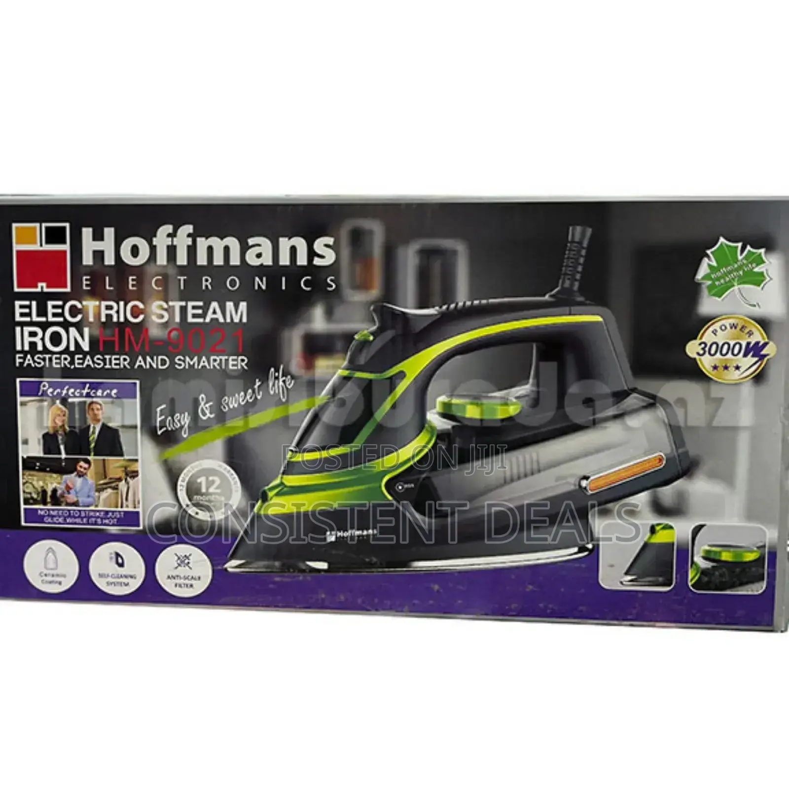Hoffman Electric Steam Iron
