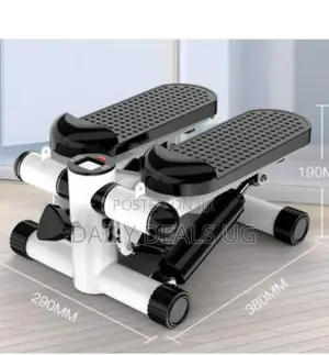 2 in 1 Gym Stepper