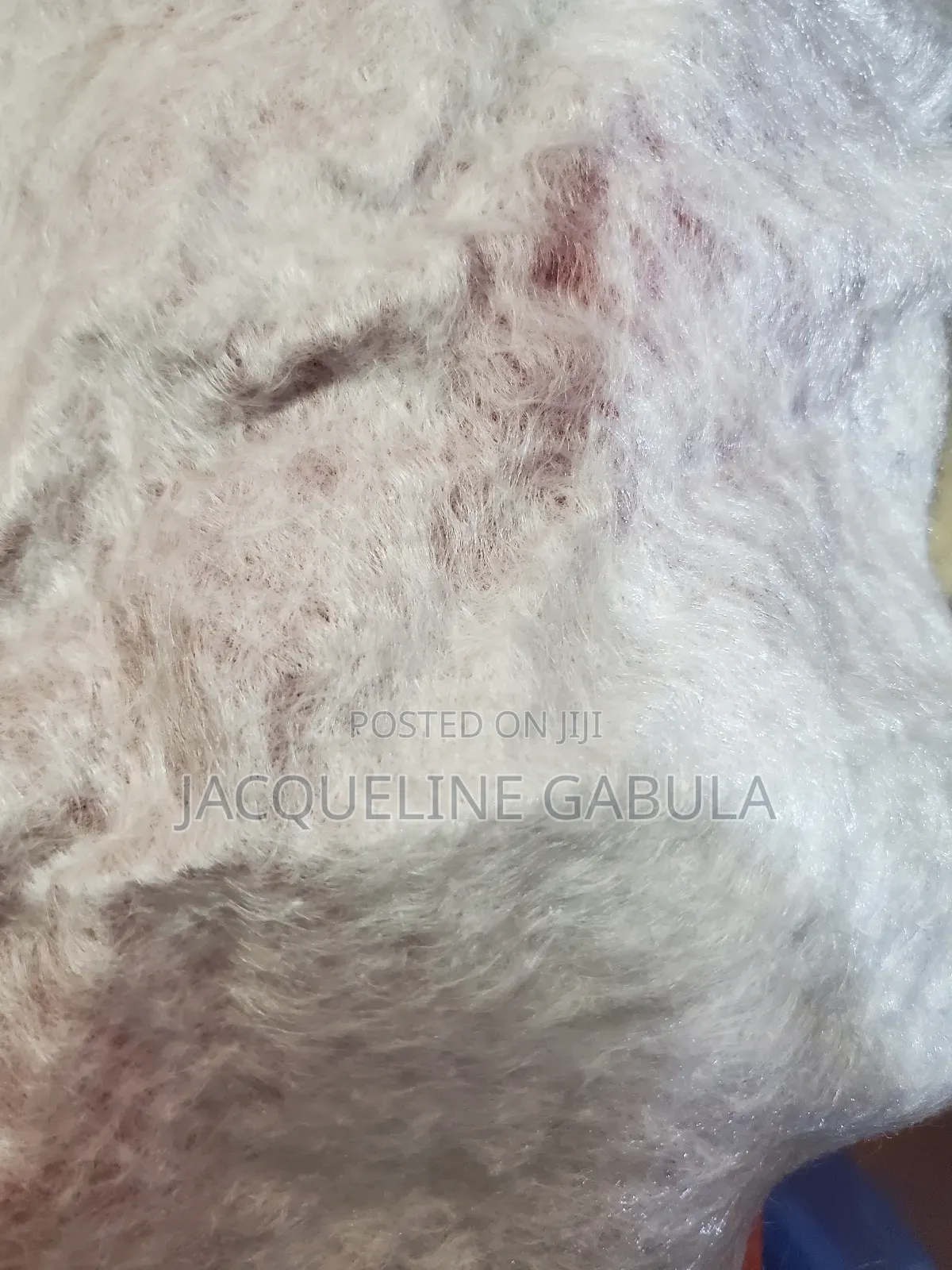 Geotextile Fabric Cloth