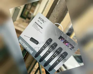 Borl 4-in-1 High-Quality Wireless Microphone