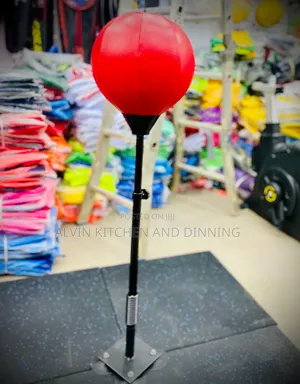 Punching Bag / Speed Bag