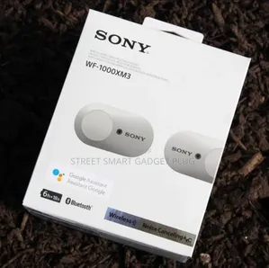 Sony Wf 1000xm3 Buds