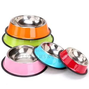 Dog Unique Bowls