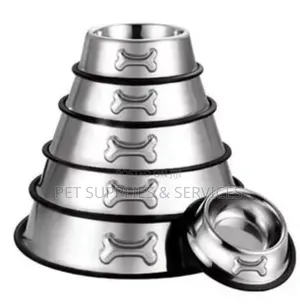 Dog Unique Bowls