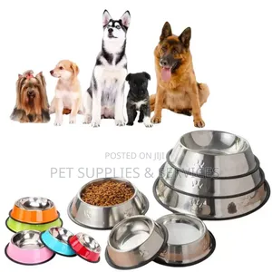 Dog Unique Bowls