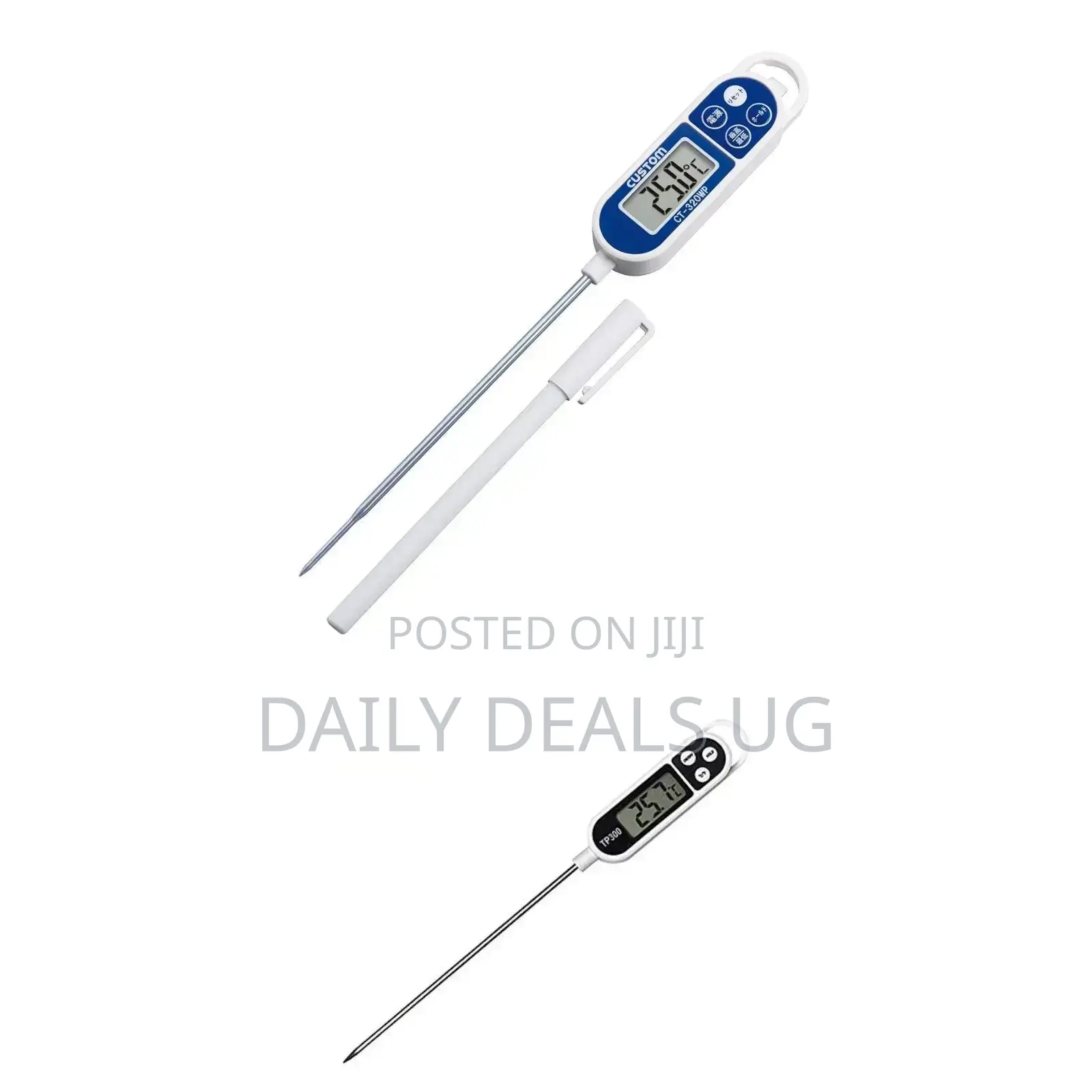 Electric Thermometer
