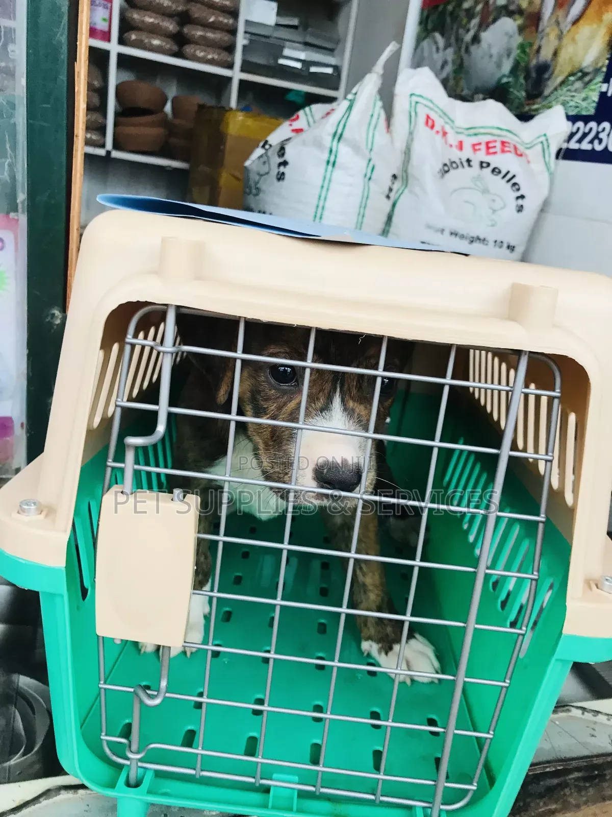 Traveling Dog Cage