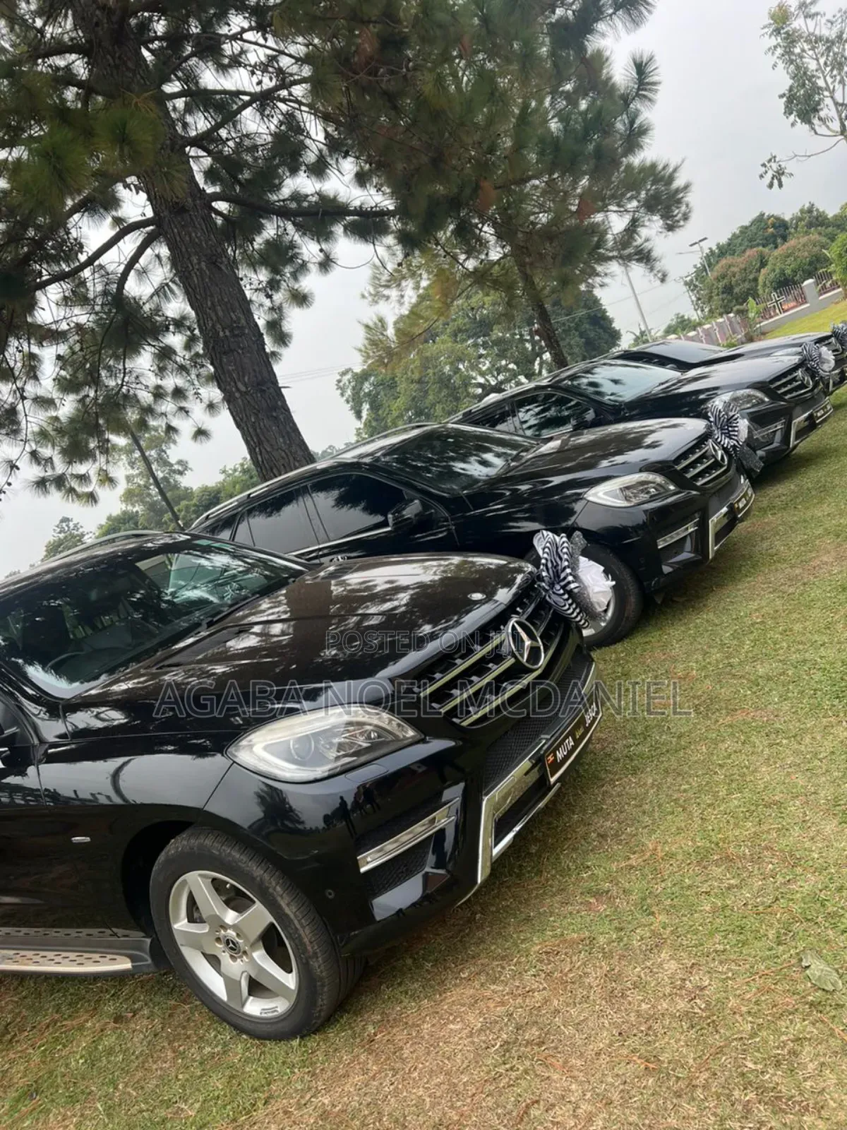 Events Management Services