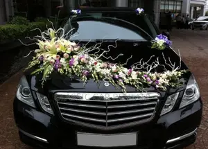 Classic Mercedese Benz Cars for Rent