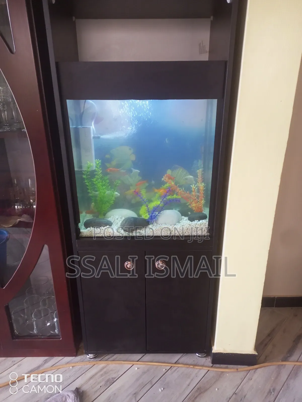 Best Black Colored Aquarium