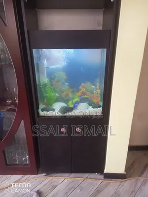Best Black Colored Aquarium