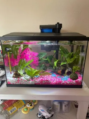 Black Colorful Neat Aquarium