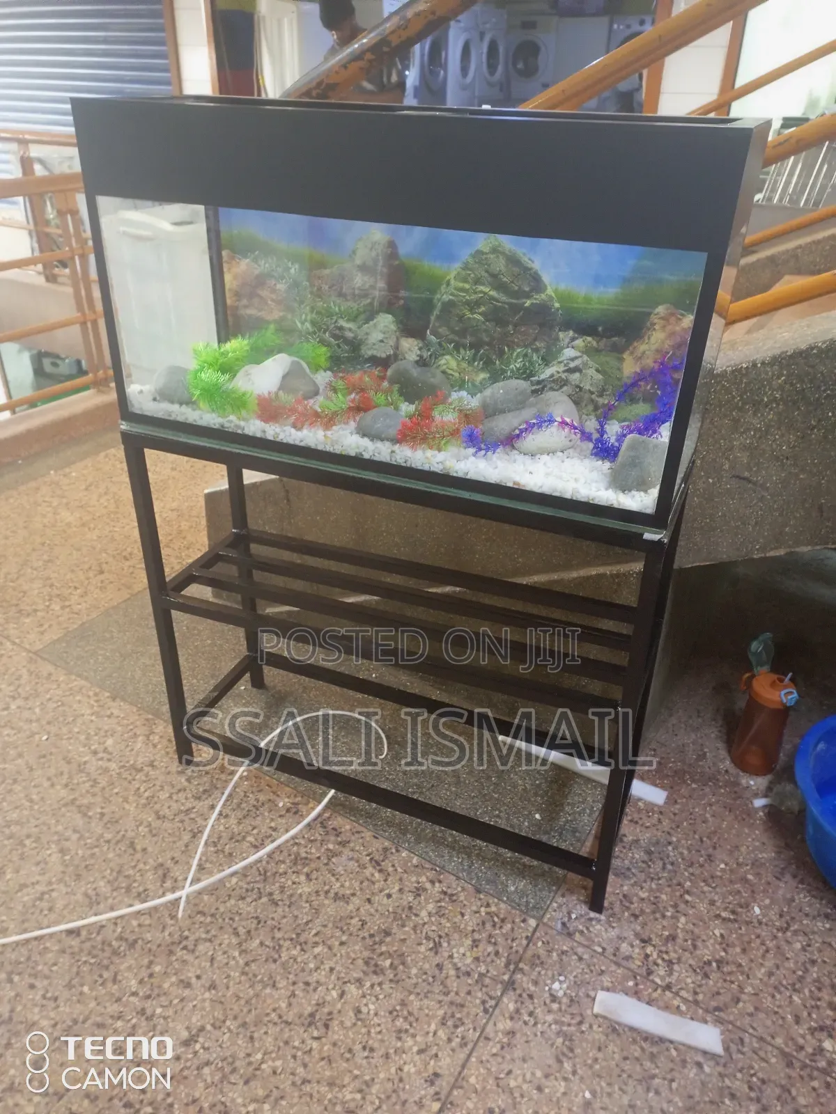 The Best Aquarium Placed on a Nice Metallic Stand