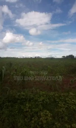 280 Acres Titled Land for Sale