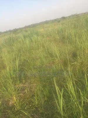 350 Acres for Sale(Titled)