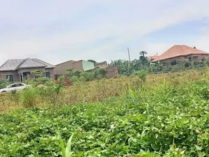 Plot for Sell 100x50ft at 37m Ugx Bukalango Ready Tittle