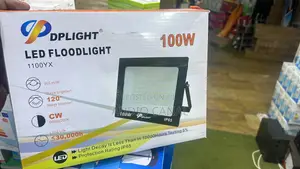 100 Wats Pearl Light Security Lights