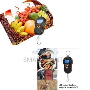 Portable 50kg Travel Digital Scale