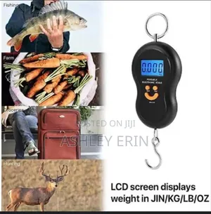 Portable 50kg Travel Digital Scale