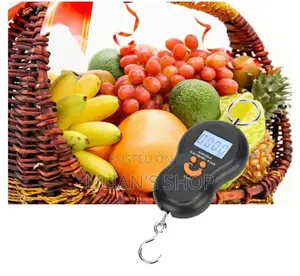 Portable 50kg Travel Digital Scale