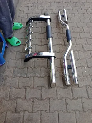 Car Guards (Pair)