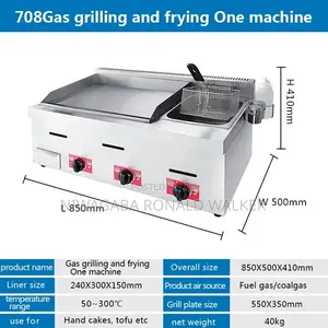 2 in 1 Gas Griddle Deep Fryer Machine