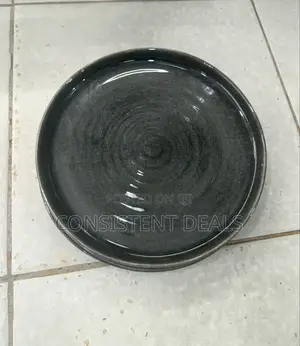 12 Pieces Dinner Plates