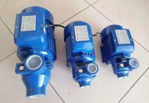 Surface Water Pump