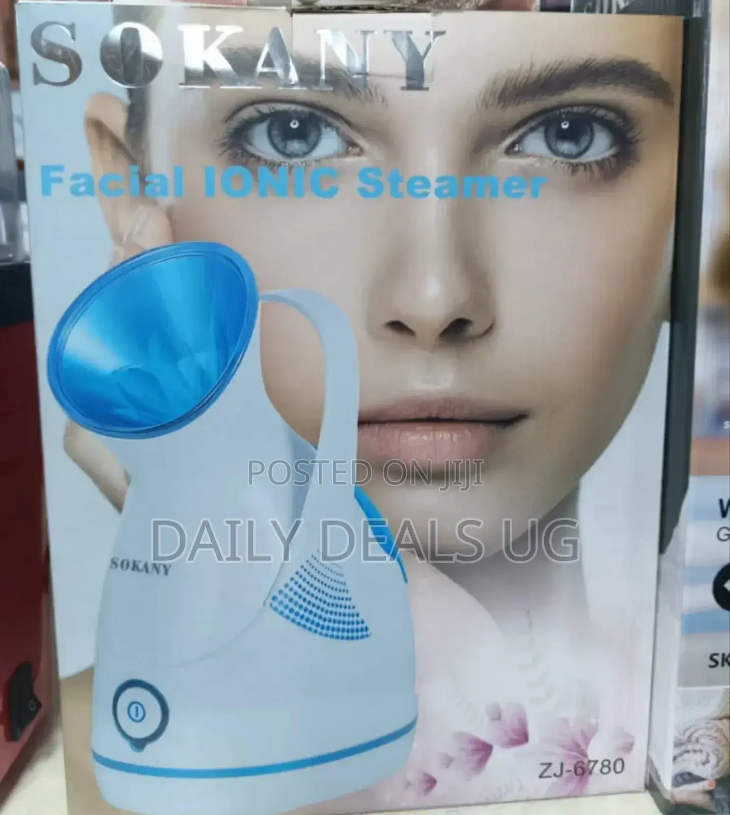 Facial Steamer