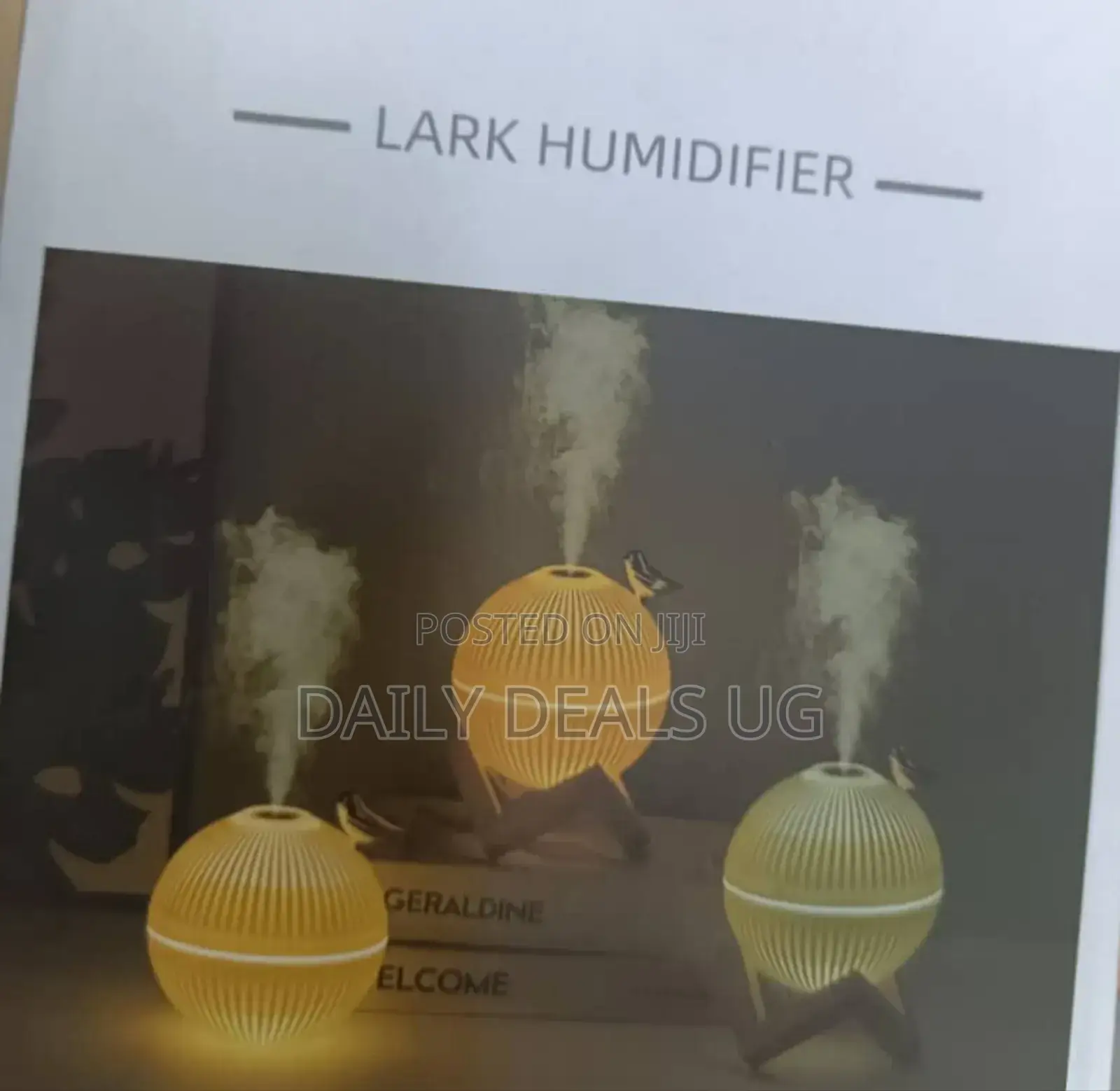 Rechargeable Lark Humidifier
