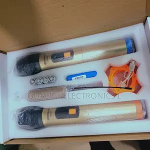 WVNGR Professional Wireless Double Microphone